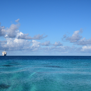 dsm最残忍boss玩法介绍最新章节

